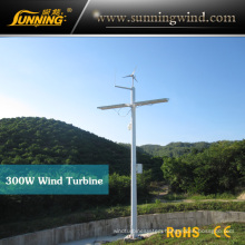 Wind Turbine Wind Power Generator 300W for Monitoring Use